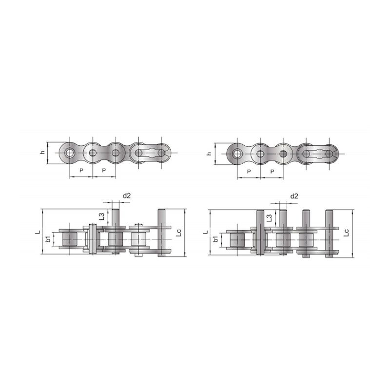Brevis pice TRADUCTOR catenam extenso acus