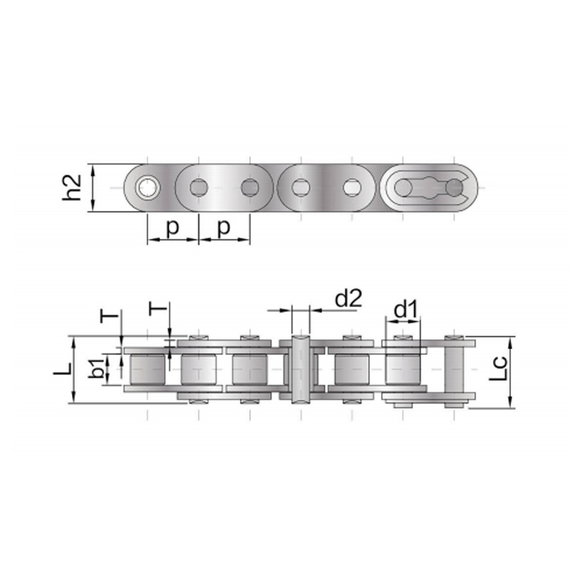 Brevis picis subtilitas cylindrus Catena cum recta lamina (A series)