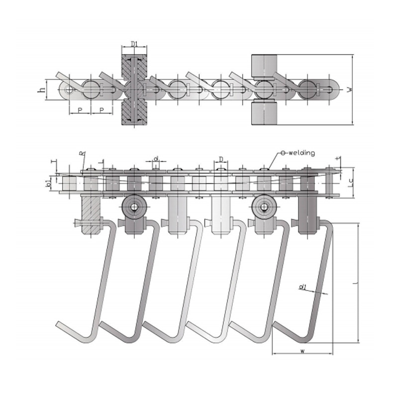 Calidum canum linea TRADUCTOR Catenae productio